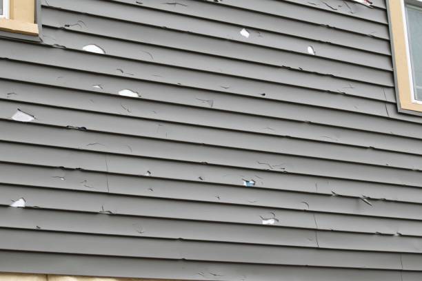 Reliable Ten Mile Creek, MD Siding Solutions